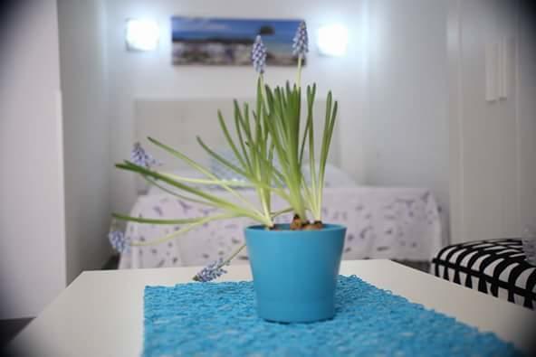 You & Me House Ceglie Messapica Εξωτερικό φωτογραφία